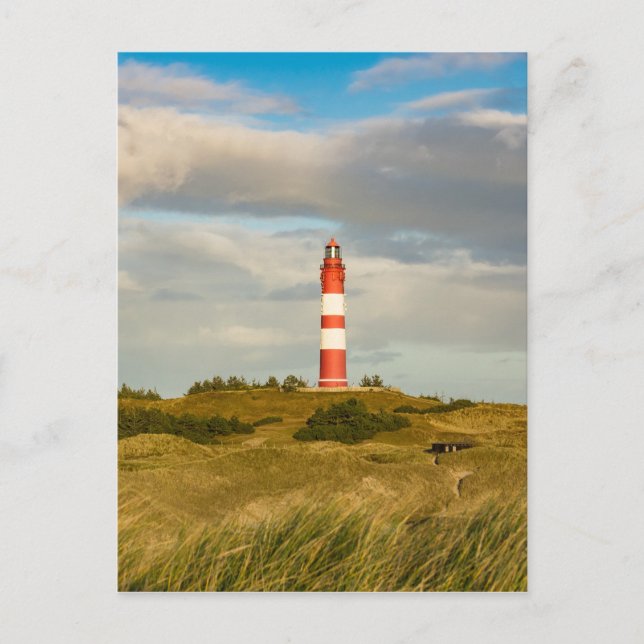 Lighthouse on the North Sea island Amrum Postcard (Front)