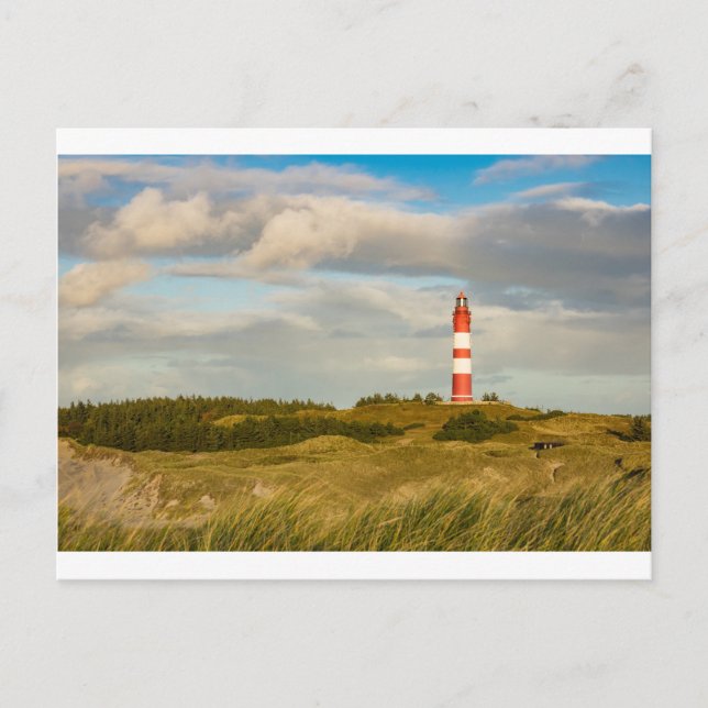 Lighthouse on the North Sea island Amrum Postcard (Front)