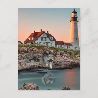 Lighthouse Reflections Postcard