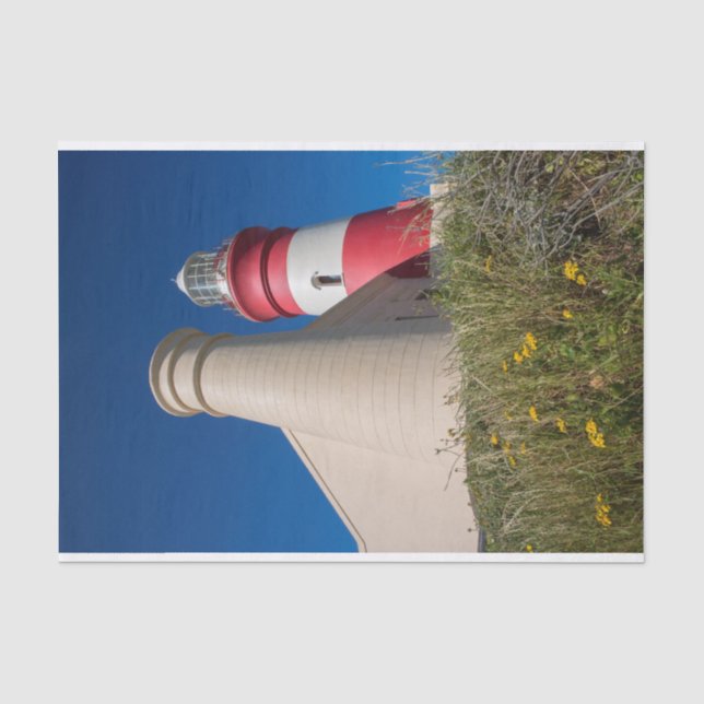 Lighthouse Tissue Paper (Front)