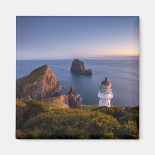 Lighthouses   Lighthouse Cape Brett New Zealand Magnet
