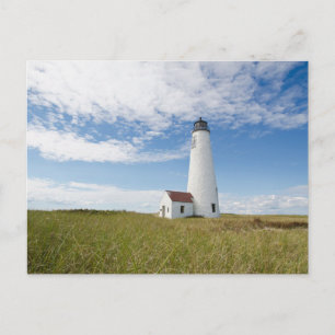 Lighthouses   Lighthouse Massachusetts Postcard