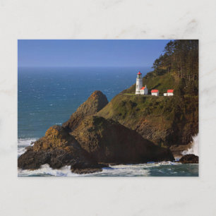Lighthouses   Oregon Coast Lighthouse Postcard