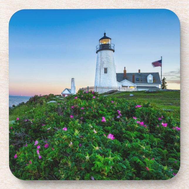 Lighthouses | Point Lighthouse Bristol  Maine Coaster (Front)