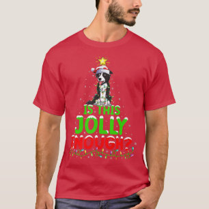 Lighting Is This Jolly Enough Border Collie Christ T-Shirt