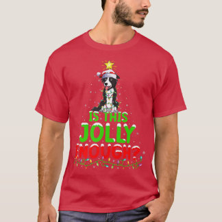 Lighting Is This Jolly Enough Border Collie Christ T-Shirt