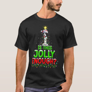Lighting Is This Jolly Enough Border Collie Christ T-Shirt