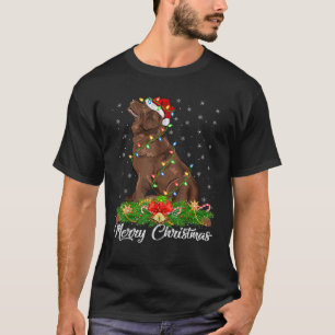 Lighting Xmas Matching Santa Hat Newfoundland Dog T-Shirt