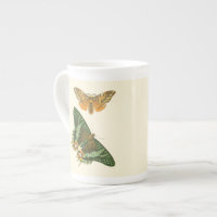 Lightly Bordered Butterfly Painting