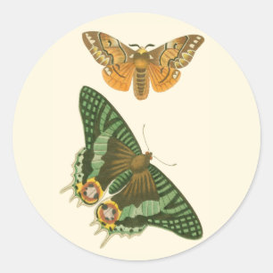 Lightly Bordered Butterfly Painting Classic Round Sticker