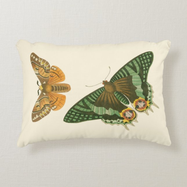 Lightly Bordered Butterfly Painting Decorative Cushion (Front)