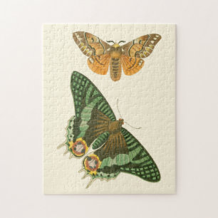 Lightly Bordered Butterfly Painting Jigsaw Puzzle
