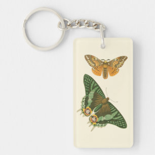 Lightly Bordered Butterfly Painting Key Ring
