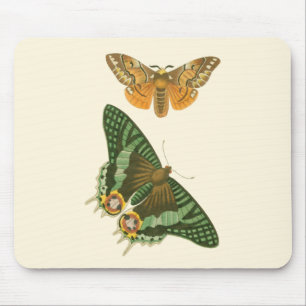 Lightly Bordered Butterfly Painting Mouse Mat