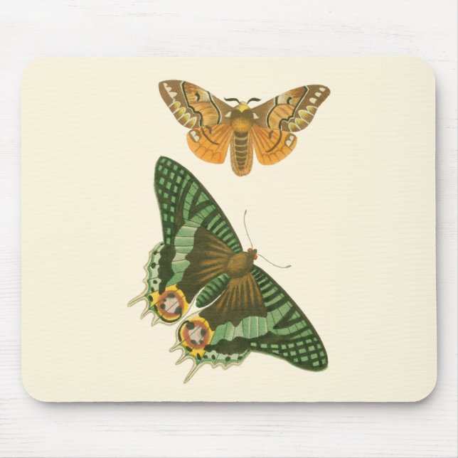 Lightly Bordered Butterfly Painting Mouse Mat (Front)