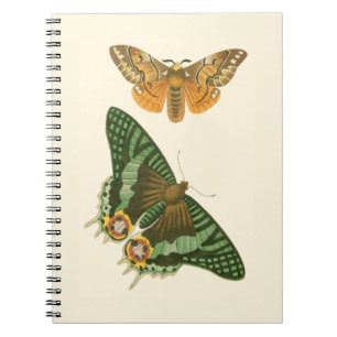 Lightly Bordered Butterfly Painting Notebook