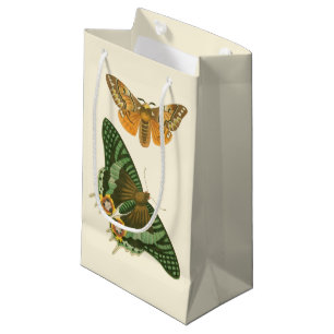 Lightly Bordered Butterfly Painting Small Gift Bag