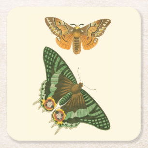 Lightly Bordered Butterfly Painting Square Paper Coaster