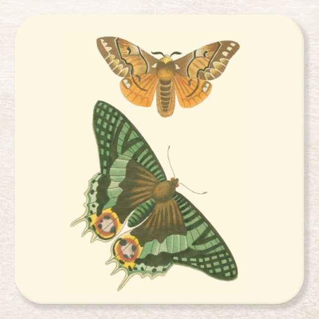 Lightly Bordered Butterfly Painting Square Paper Coaster (Front)
