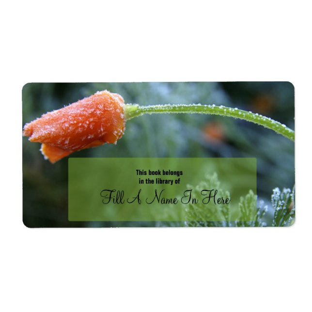 Lightly Frosted California Poppy (Front)