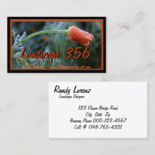 Lightly Frosted California Poppy Photograph Business Card