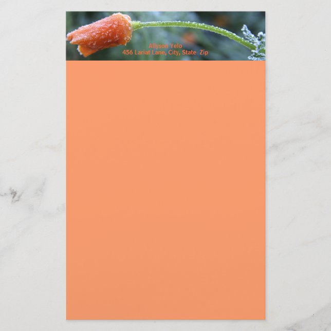 Lightly Frosted California Poppy Stationery (Front)