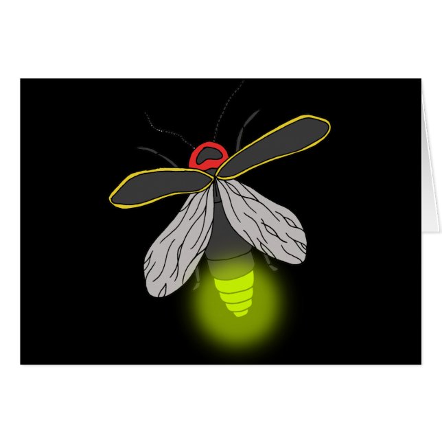 lightning bug flight lit (Front Horizontal)