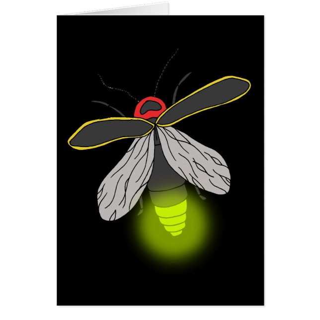 lightning bug flight lit (Front)