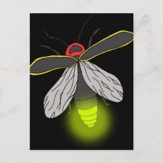 lightning bug flight lit postcard