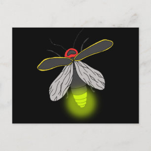 lightning bug flight lit postcard