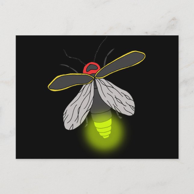 lightning bug flight lit postcard (Front)