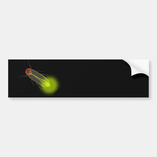 lightning bug lit bumper sticker