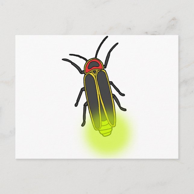 lightning bug lit postcard (Front)