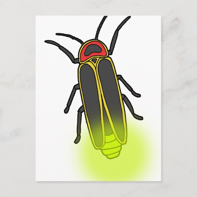 lightning bug lit postcard (Front)