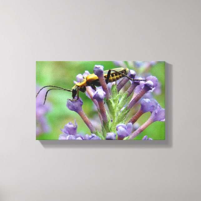 Lightning! Canvas Print (Front)