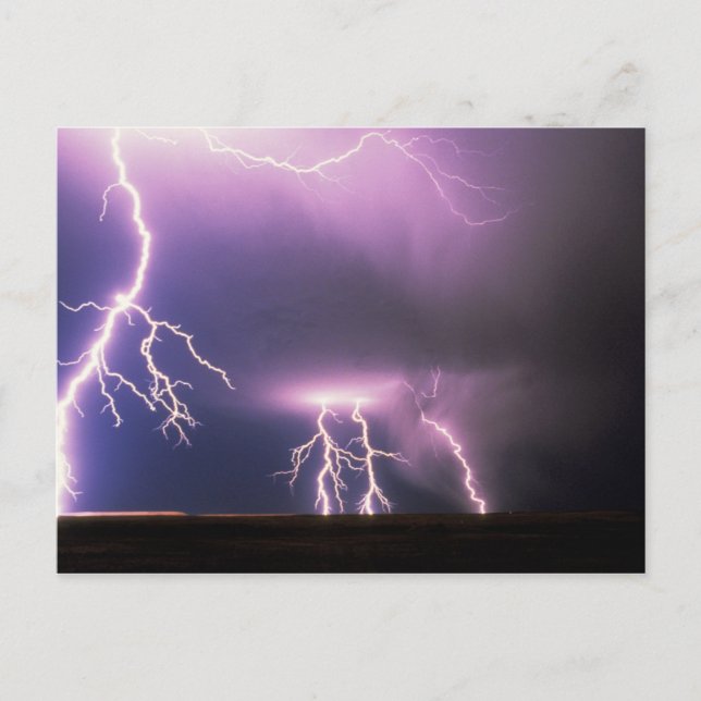 Lightning. Postcard (Front)
