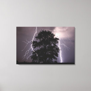 Lightning Strikes In The Sky Behind A Tree Canvas Print