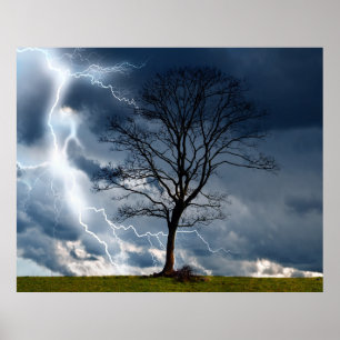 Lightning Tree Poster