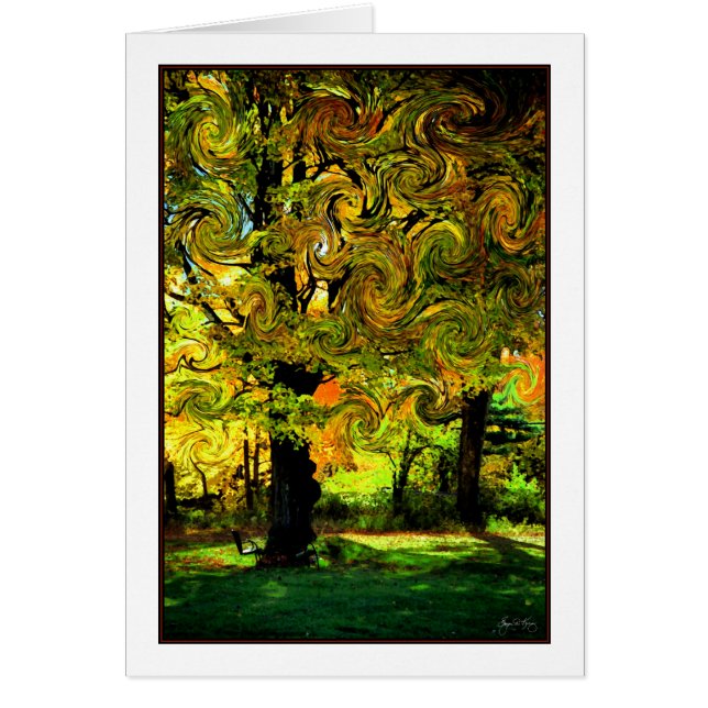 Lightplay in the Leaves (Front)