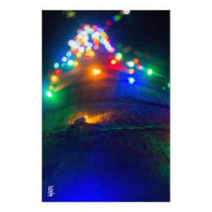 Lights on a Tree Photo Print