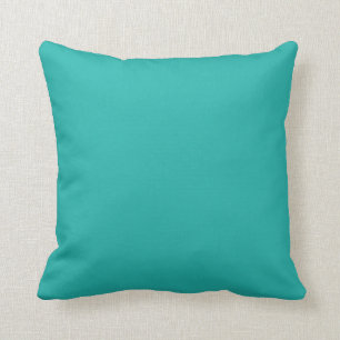 LightSeaGreen Cushion
