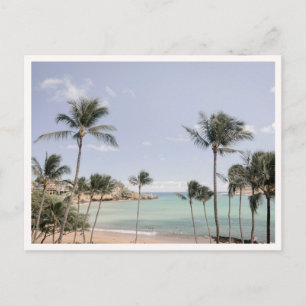 Lihue Kauai Palm Trees Hawaii Photo Greeting Postcard