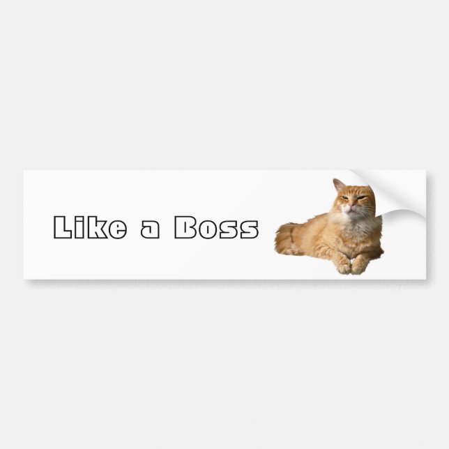 Like a Boss Bumper Sticker (Front)