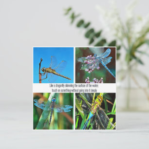 Like A Dragonfly Skimming The Surface Of The Water Save The Date