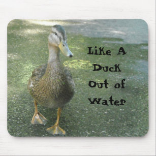Like A Duck Out of Water Mouse Mat