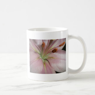 Like a lily.. coffee mug