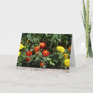 "Like A Red Rubber Ball" Easter Card