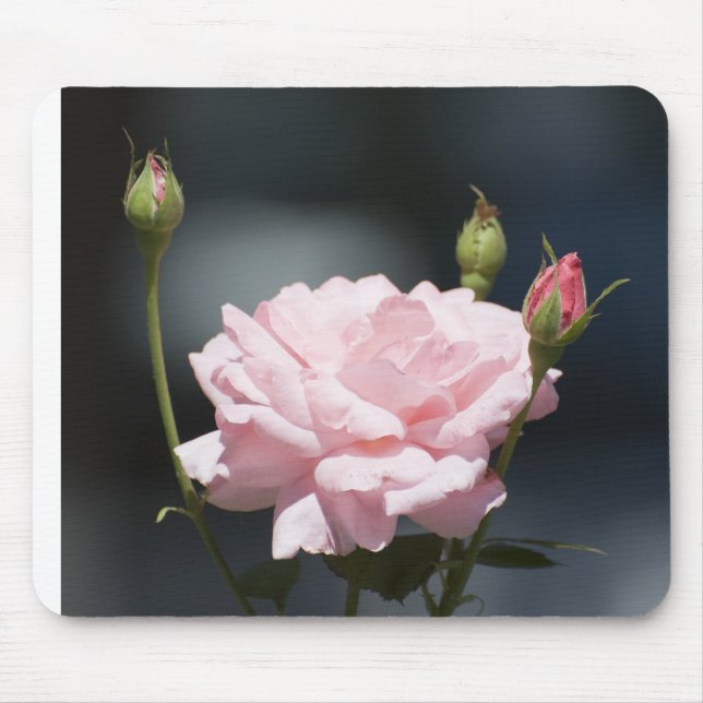 like a rose mouse mat (Front)