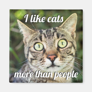 Like cats more than people green-eyed cat close-up magnet