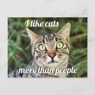 Like cats more than people green-eyed cat close-up postcard